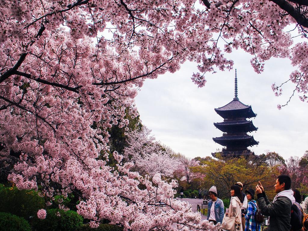 Coto Kyoto Toji 2 Villa Bagian luar foto